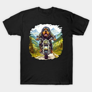 A realistic photographic t-shirt design featuring a Rottweiler Dog on a motorcycle T-Shirt